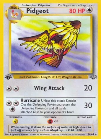 Pidgeot Pokémon card #24