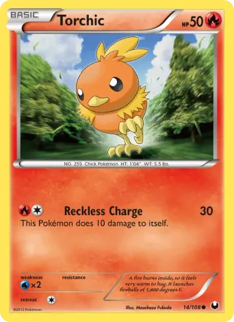 Torchic Pokémon card #14