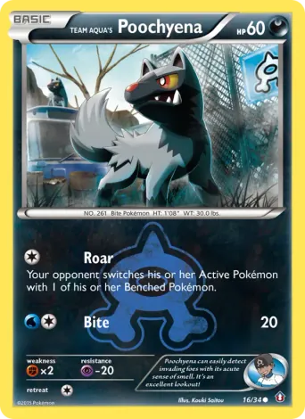 Team Aqua's Poochyena Pokémon card #16