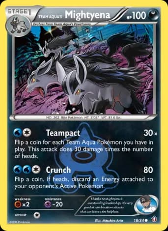 Team Aqua's Mightyena Pokémon card #18
