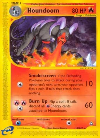 Houndoom Pokémon card #14