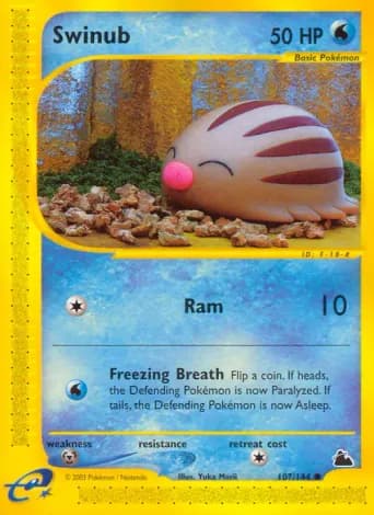 Swinub Pokémon card #107