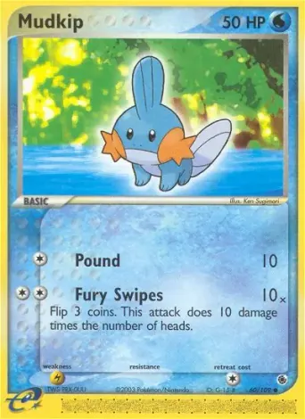 Mudkip Pokémon card #60