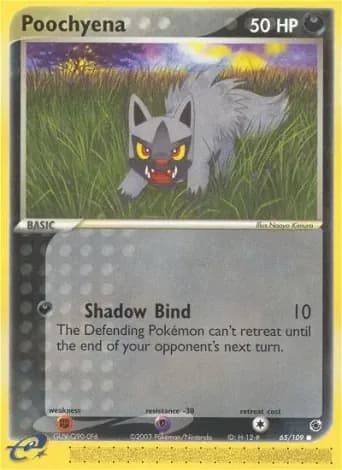 Poochyena Pokémon card #65