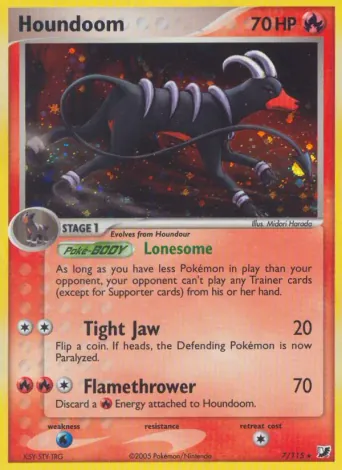 Houndoom Pokémon card #7
