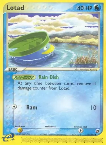 Lotad Pokémon card #66