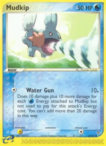 Mudkip Pokémon card #65