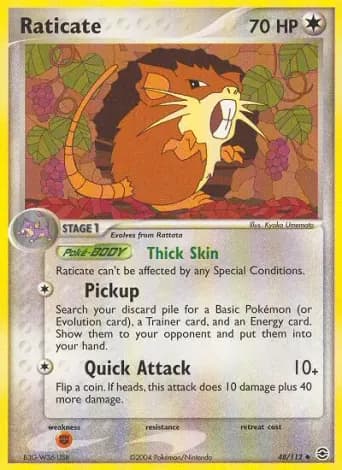 Raticate Pokémon card #48