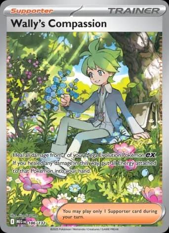 Wally's Compassion Pokémon card #186