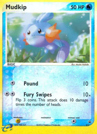 Mudkip Pokémon card #10