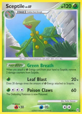 Sceptile Pokémon card #30