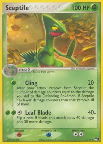 Sceptile Pokémon card #4