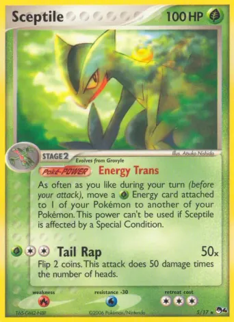 Sceptile Pokémon card #5
