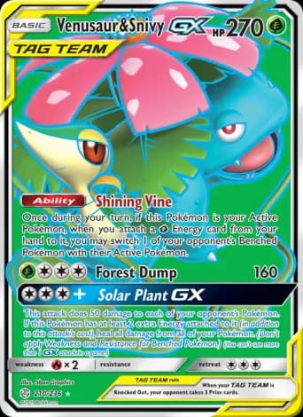 Venusaur & Snivy GX Pokémon card #210