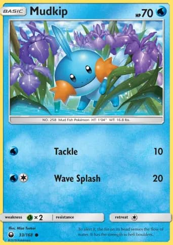 Mudkip Pokémon card #33