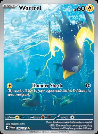 Wattrel Pokémon card #178