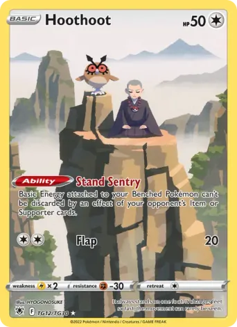 Hoothoot Pokémon card #TG12