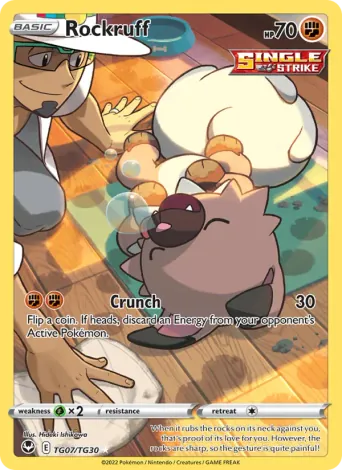Rockruff Pokémon card #TG07