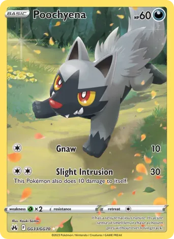Poochyena Pokémon card #GG33