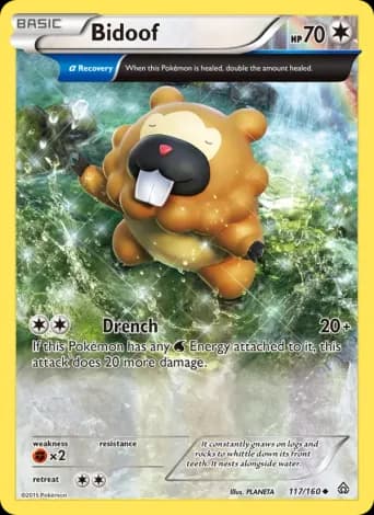 Bidoof Pokémon card #117