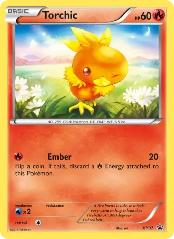 Torchic Pokémon card #XY37