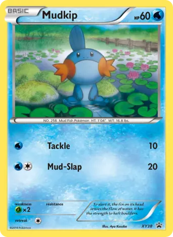 Mudkip Pokémon card #XY38